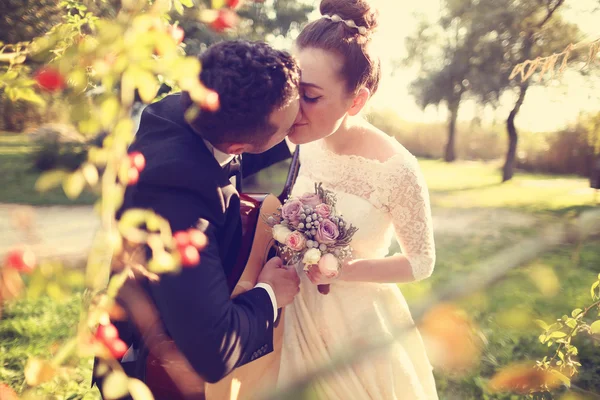 Bridal couple in nature — Stock Photo, Image