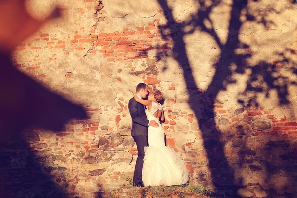 Bruid en bruidegom omarmen in de buurt van bricked muur — Stockfoto