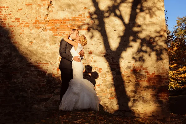 Nevěsta a ženich všeobjímající poblíž zděná stěna — Stock fotografie