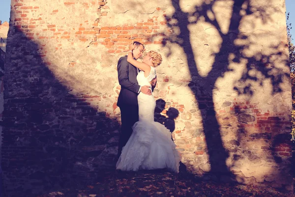 Bride and groom embracing near bricked wall — Stock Photo, Image