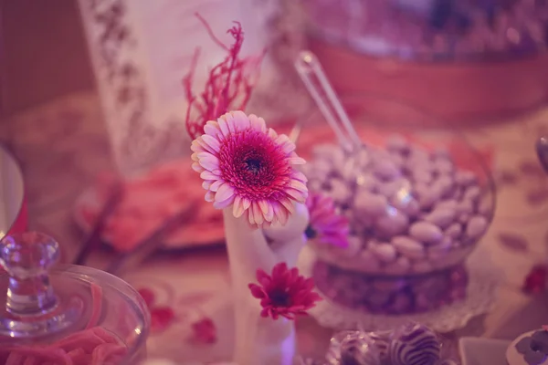 Close up of pink flower on table — Stock Photo, Image