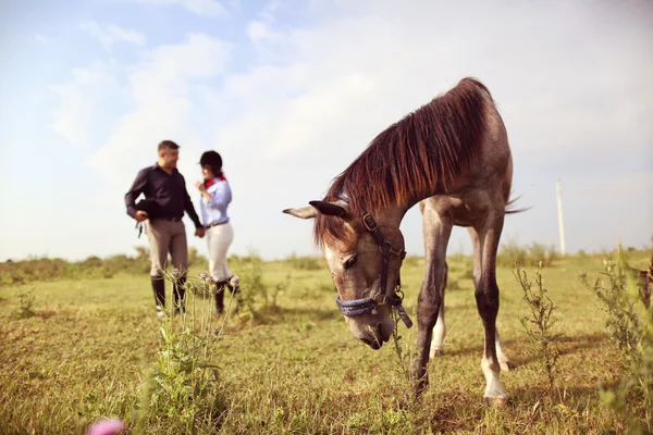 Happy couple with their horse — Stock Photo, Image