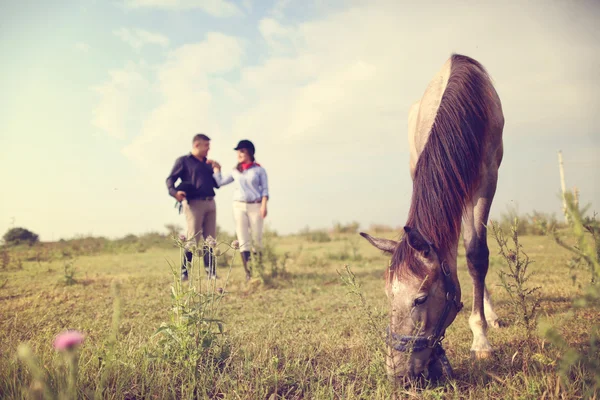 Glückliches Paar mit seinem Pferd — Stockfoto