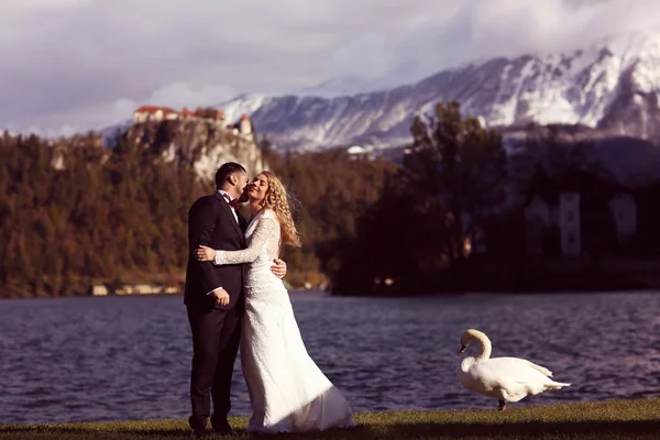Bride and groom near lake with swan — Stock Photo, Image