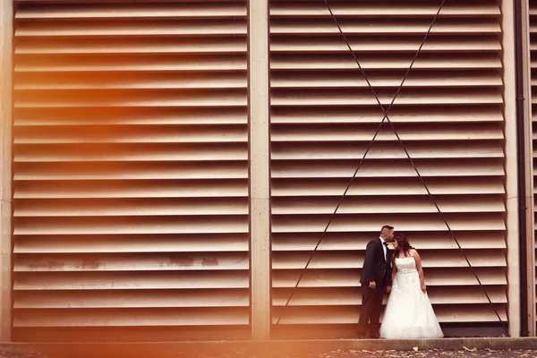 Bride and groom against a striped wall — Stock Photo, Image