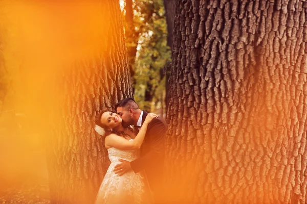 Bruden och brudgummen embracing i parken — Stockfoto