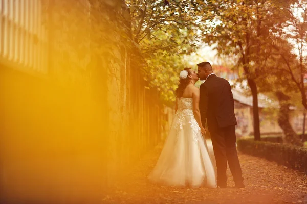 Bride and groom walking in the park — Stock Photo, Image