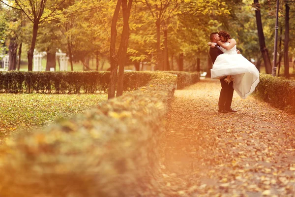 Bruden och brudgummen embracing i parken — Stockfoto