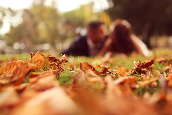 Bride and groom laying on autumn leaves — Stock Photo, Image