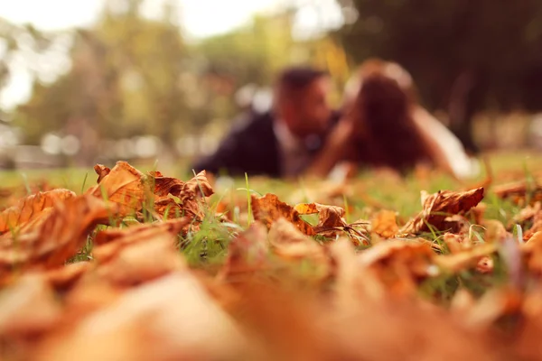 Braut und Bräutigam legen sich auf Herbstlaub — Stockfoto