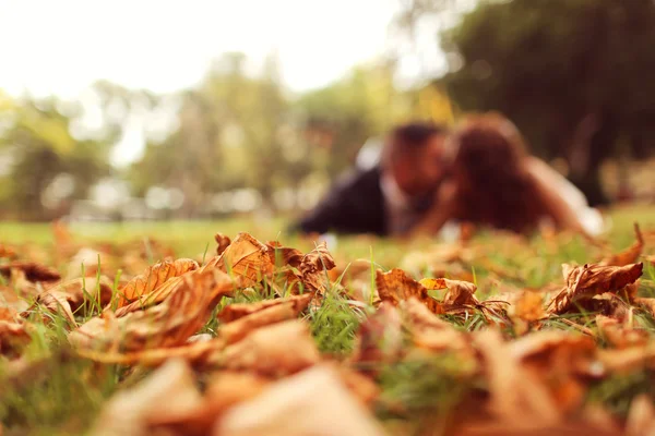 Bride and groom laying on autumn leaves — Stock Photo, Image