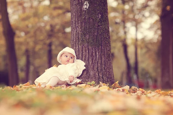 Meisje van de baby in de buurt van boom in het park — Stockfoto