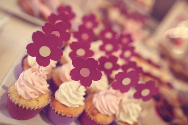 Cupcakes — Stockfoto