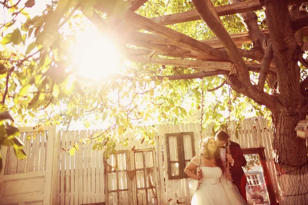 Novia y novio en un columpio — Foto de Stock