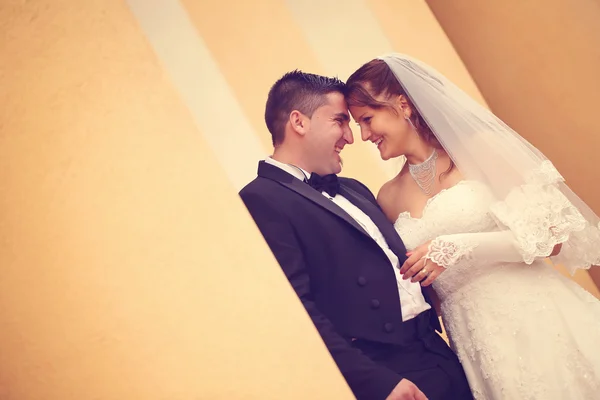 Bride and groom on their wedding day — Stock Photo, Image