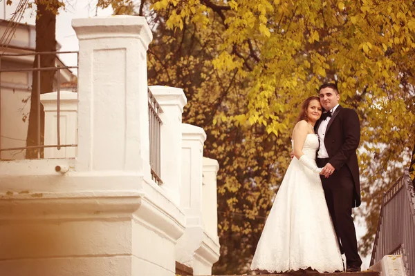 Bride and groom on autumn day — Stock Photo, Image