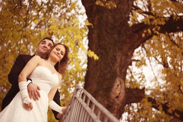 Bride and groom on autumn day — Stock Photo, Image