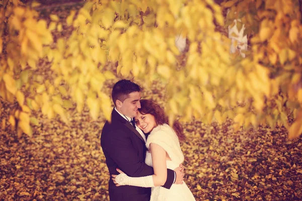Bride and groom on autumn day — Stock Photo, Image