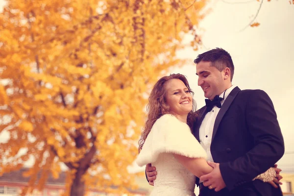 Noiva e noivo no dia de outono — Fotografia de Stock