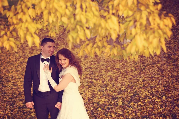 Bride and groom on autumn day — Stock Photo, Image