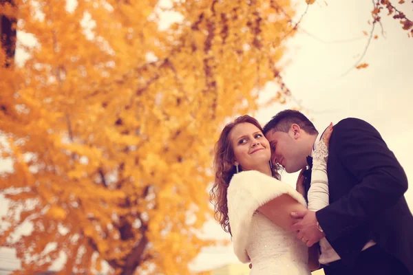 Bride and groom on autumn day — Stock Photo, Image
