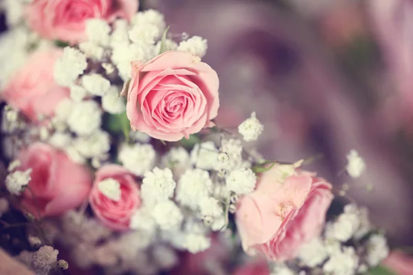 장미와 라든지 — 스톡 사진