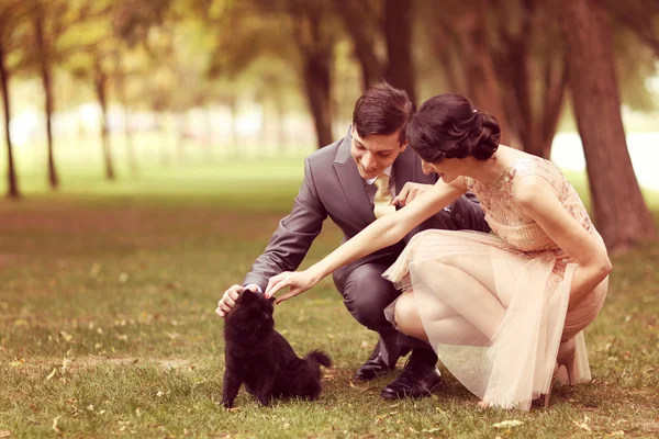 Пара, играющая с черной кошкой — стоковое фото