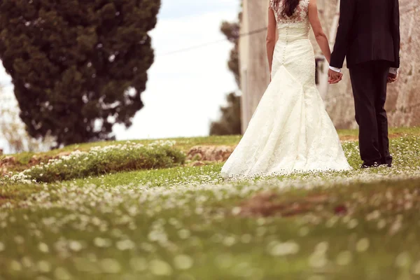 Bride and groom holding hands — Stock Photo, Image