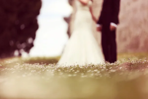 Kamille veld met bruid en bruidegom als silhouetten — Stockfoto