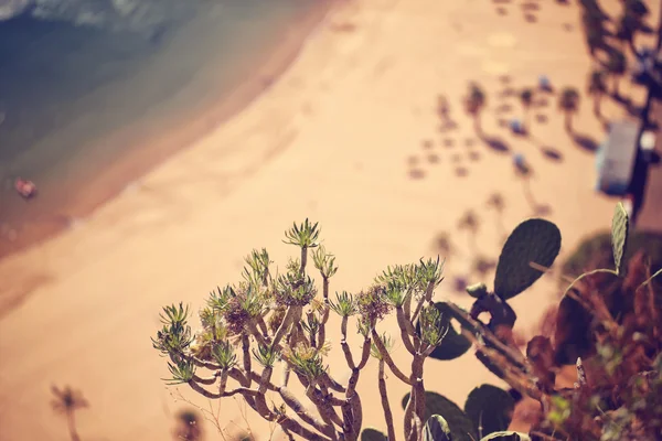 Вид зверху Тенеріфе пляж — стокове фото