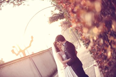 Gelin ve damat doğada