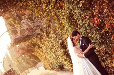 Gelin ve damat doğada