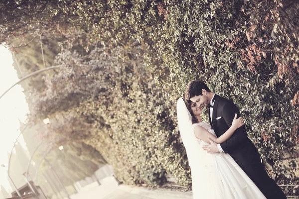 Bride and groom in nature — Stock Photo, Image