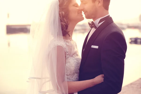 Närbild på en brud och brudgum embracing — Stockfoto