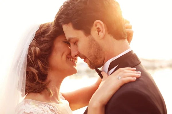 Close up of a bride and groom embracing — Stock Photo, Image