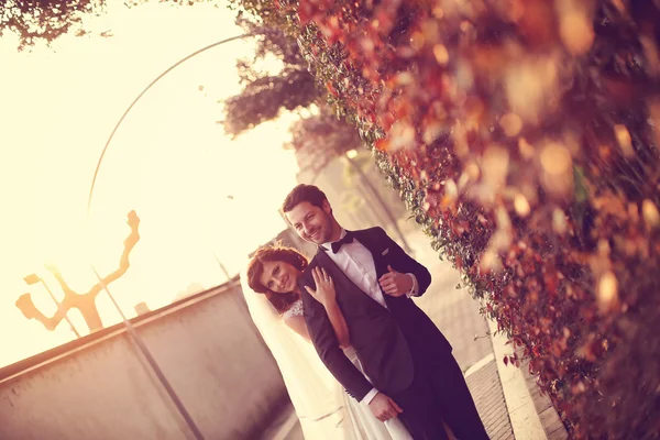 Sposa e sposo in natura — Foto Stock