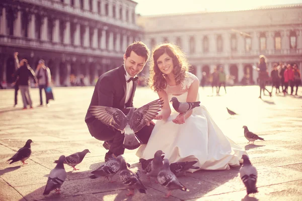 Жених и невеста играют с голубями — стоковое фото