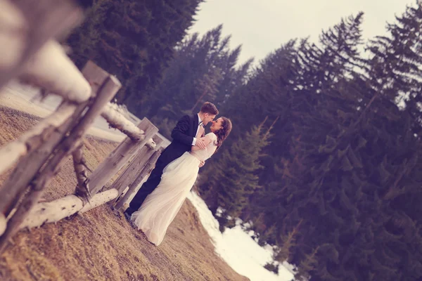 Bride and groom embracing near forest — Stock Photo, Image