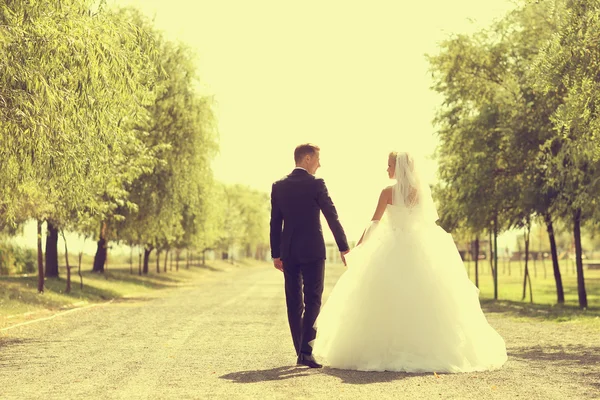 Noiva e noivo em seu dia de casamento — Fotografia de Stock