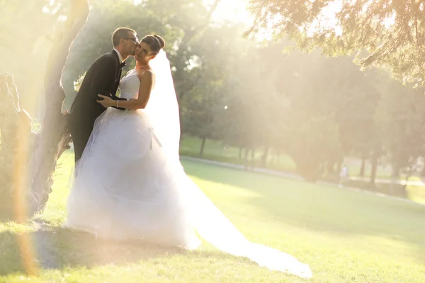 Novio y novia el día de su boda —  Fotos de Stock