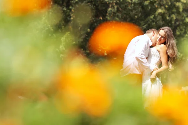 Noivo e noiva em seu dia de casamento — Fotografia de Stock