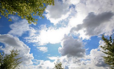 Bahar çayır ile büyük ağaç büyük bir şehirde