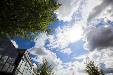 Bahar çayır ile büyük ağaç büyük bir şehirde