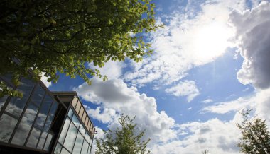 Bahar çayır ile büyük ağaç büyük bir şehirde