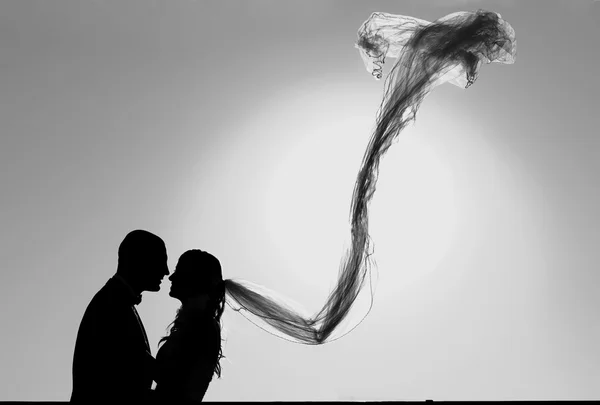 Bride Groom Silhouettes — Stock Photo, Image