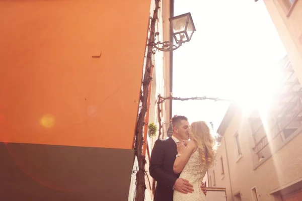 Bruden och brudgummen i solljus — Stockfoto
