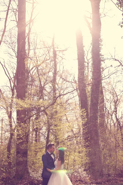 Bride and groom in a beautiful forest — Stock Photo, Image