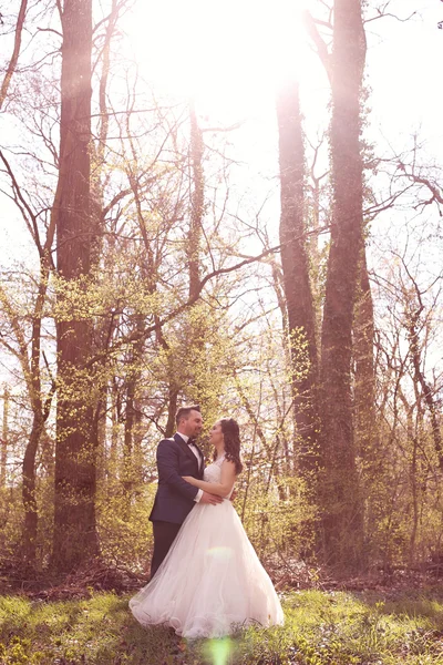 Bride and groom in a beautiful forest — Stock Photo, Image