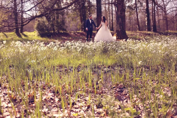 Sihouettes of a bride and groom walking in a forest — Stock Photo, Image