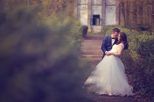 Bride and groom dancing — Stock Photo, Image